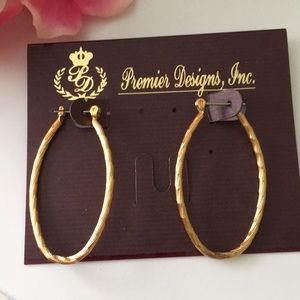 Oblong hoop earrings
